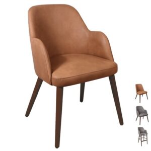 Unique Dining Chairs - Aztec Vintage