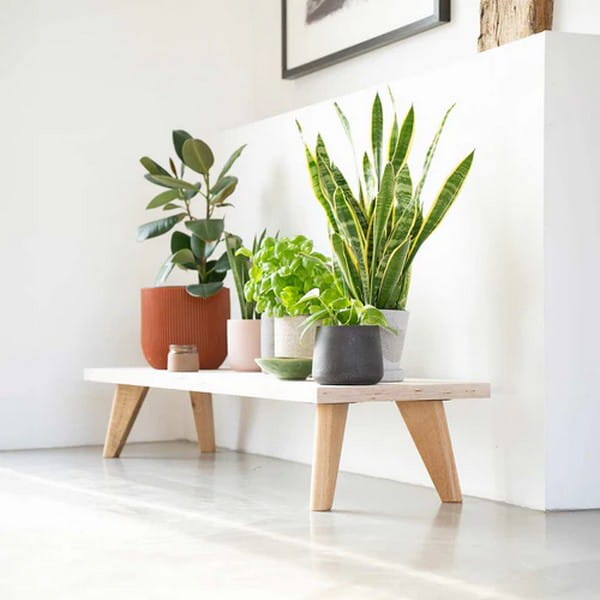 Tapered Oak Table Legs - Lifestyle